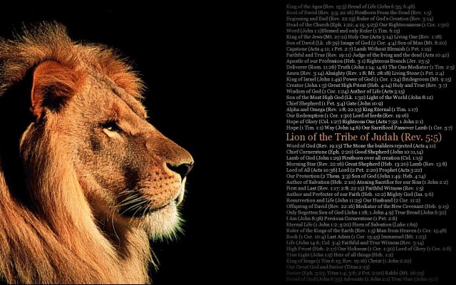 A Lion's Burning Passion! Leone X Male Reader - CH. 2 - Wattpad
